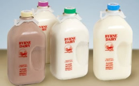 fresh milk in glass bottles